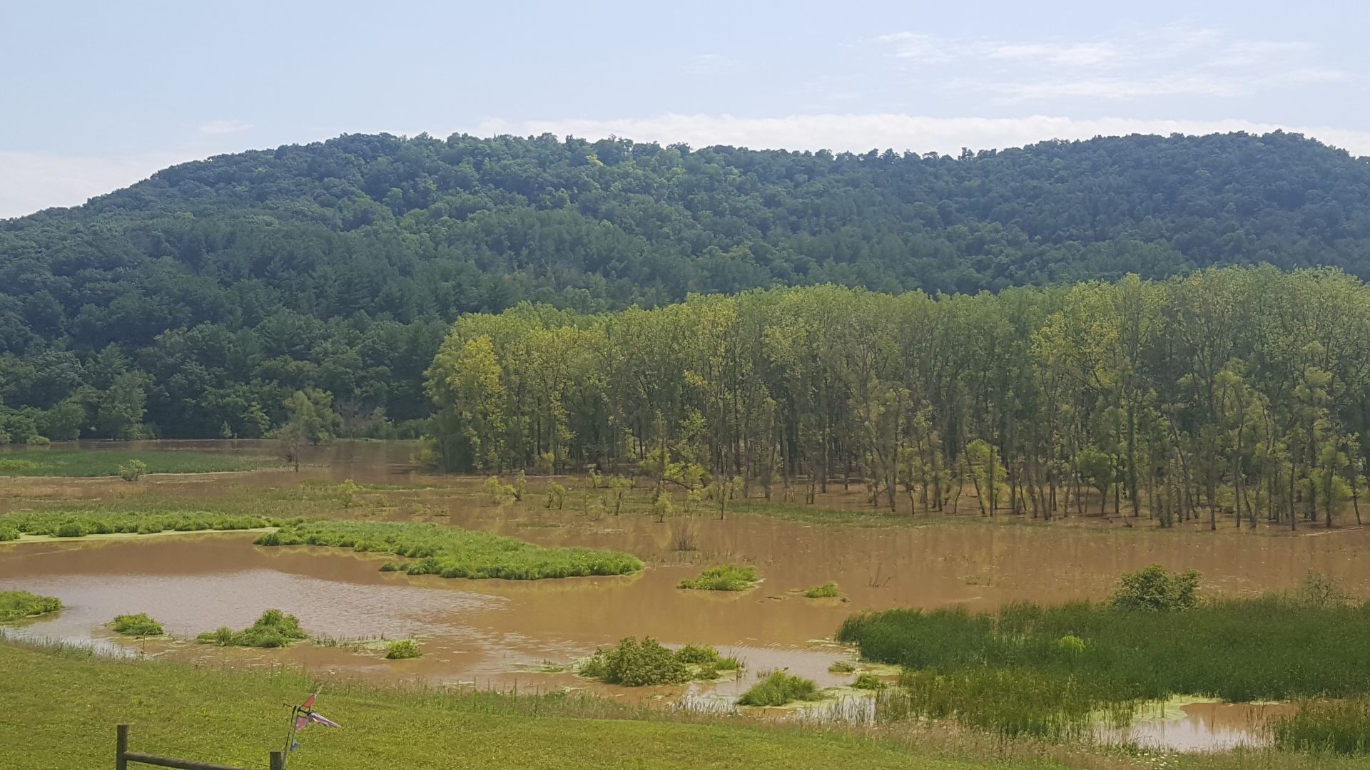 Pine Creek in Houston County